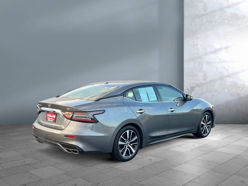 2023 Nissan Maxima