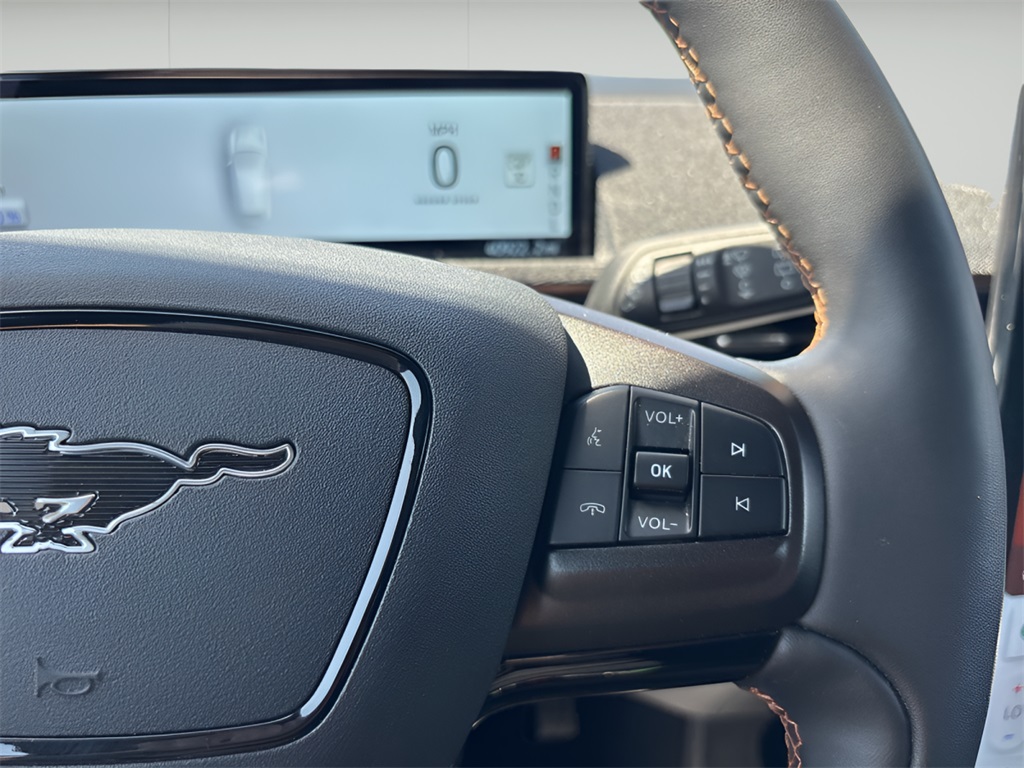 2021 Ford Mustang Mach-E
