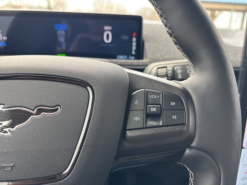 2021 Ford Mustang Mach-E