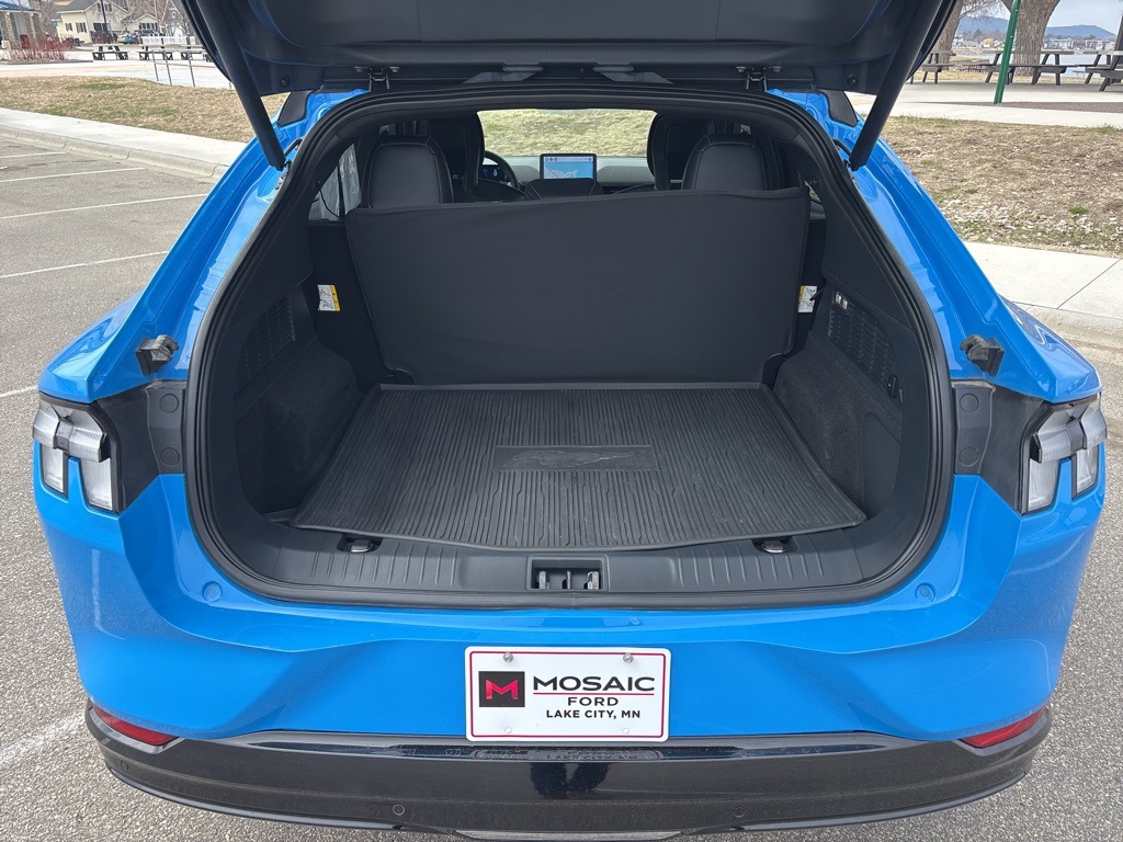 2021 Ford Mustang Mach-E